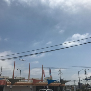 巨乳ww在线观看
